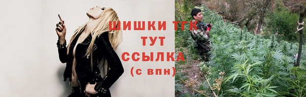 прущие крисы Гатчина